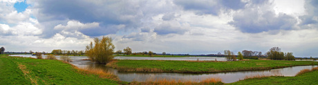 Langs de IJssel (Panoramafoto)
