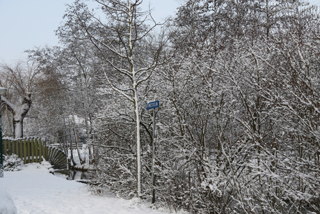 Eindelijk sneeuw 2017