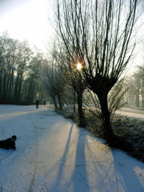 Winterlandschap