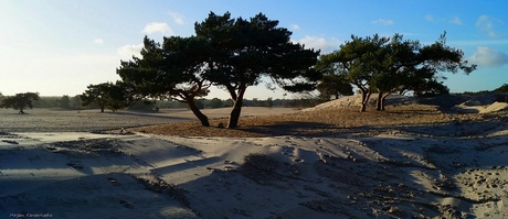 Soester Duinen