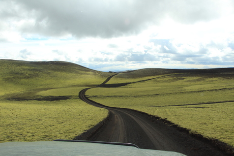 Lava veld begroeid met mos