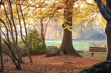 Herfst plaatje