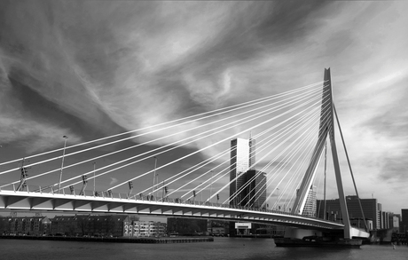 Rotterdam.jpg