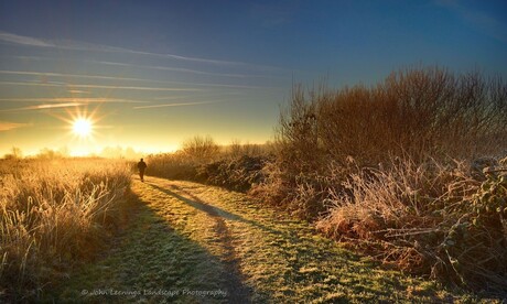 Vroege wandelaar