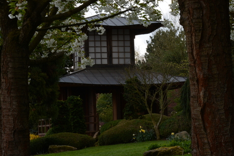 Japanse tempel in mondo verde