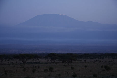 Kilimanjaro