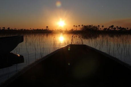 Okavango Delta