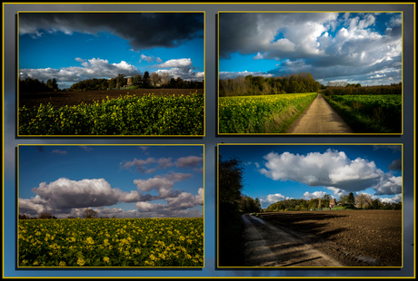 collage Vliermaal molen