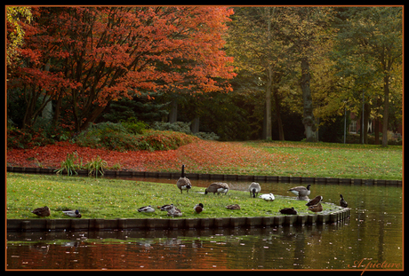 Park in Stadskanaal