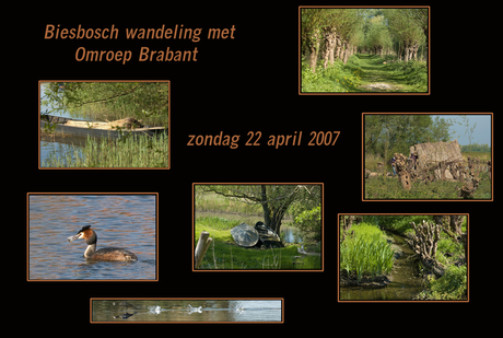 Biesbosch wandeling 22 april 2007