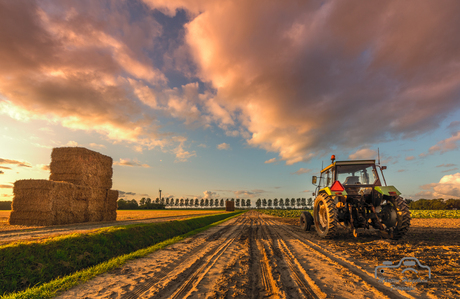 Sunset Noordoostpolder