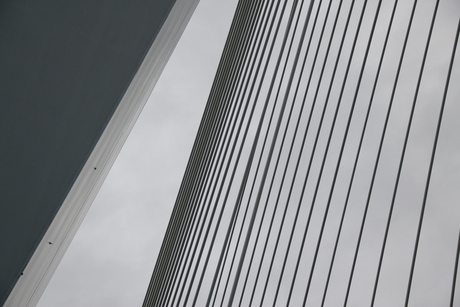 20101006_STEDEN Rotterdam Erasmusbrug_HCS0009.jpg