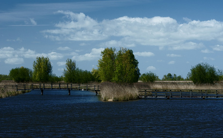 Oostvaardersplassen 1