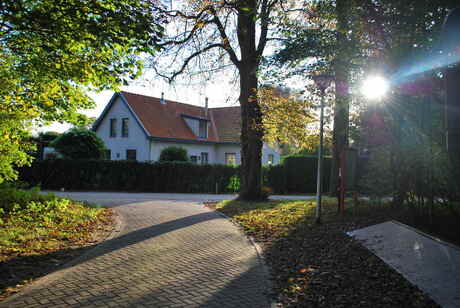 door de bomen.