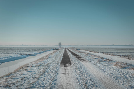 Nederland Winterlandschap