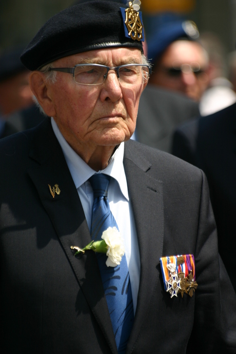 Veteranendag 2010