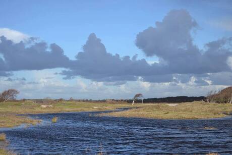 texel