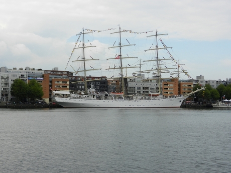 Sail 2015, Dar Mlodziezy