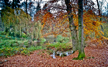 Herfstkleuren