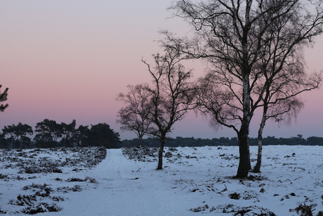 Wandelen op de hei