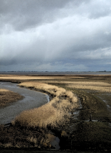 Groningse Leegte nr.2