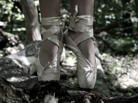 Ballet in het bos