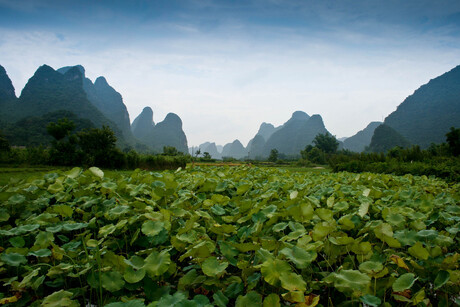 Yangshuo