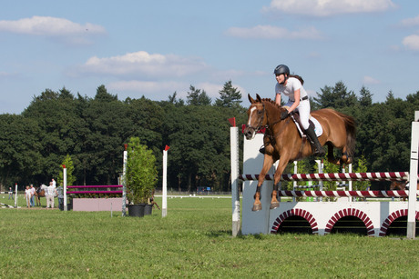 Heiderconcour Ede (2)