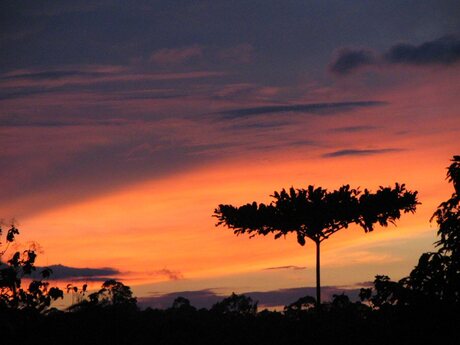 Avond valt in borneo