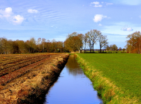 Het gras is altijd groener...