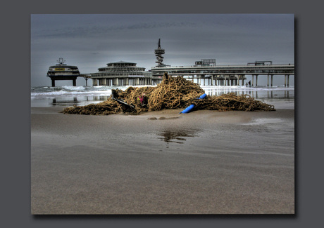 hdr visnet scheveningen