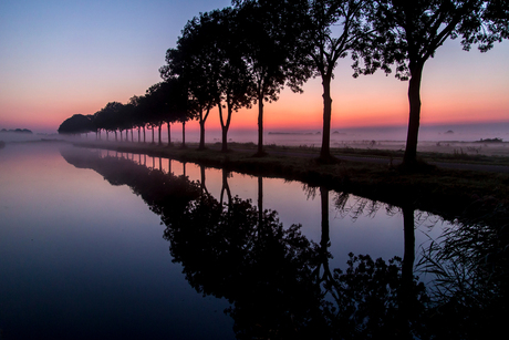 Mist in de polder