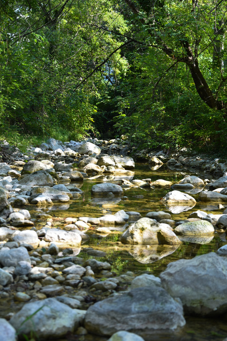 Little stream