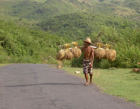 Boer, Lombok / Indonesia