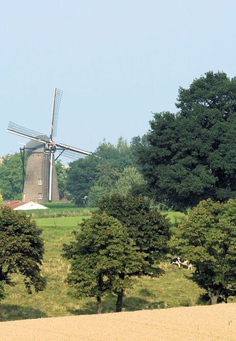 Daar bij die molen