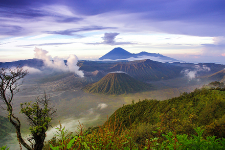 Bomo vulkaan, Java Indonesie