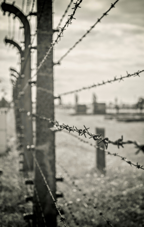 Secrets of Auschwitz