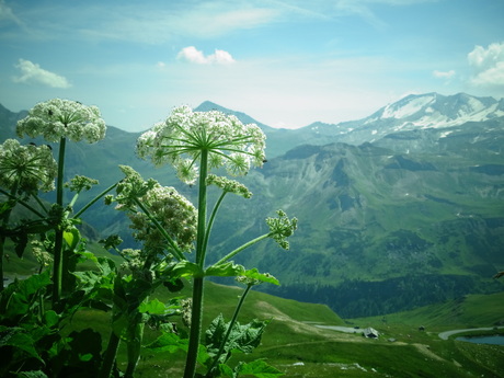 Großglockner Hochalpenstraße