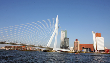 Rotterdam de Erasmusbrug