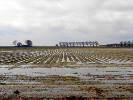 nu beregenen dit is een maand terug