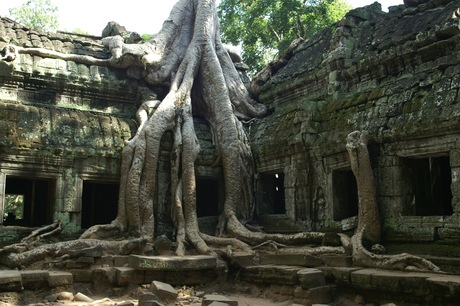 Ta Phrom (Cambodja 2005)