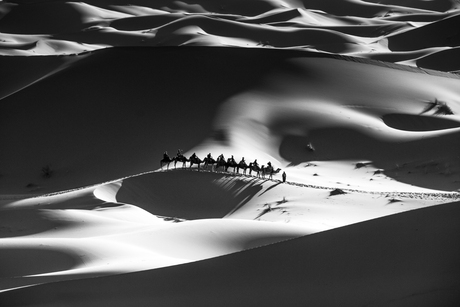 De duinen in zwart wit