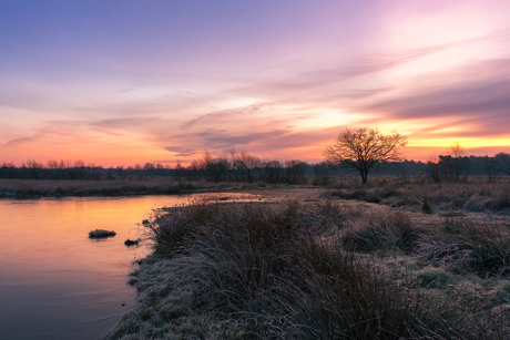 Pastel Morning