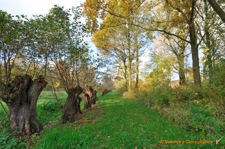 Herfst