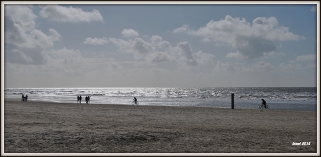 strand voorjaar 2014 kopie1.jpg