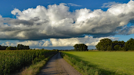 Leutherhoekweg Maasband (Stein)