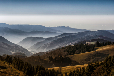 schwarzwald