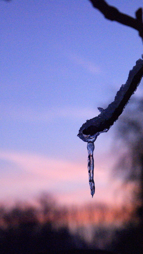 icicle