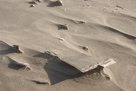 Zand, schelpen en wind 2