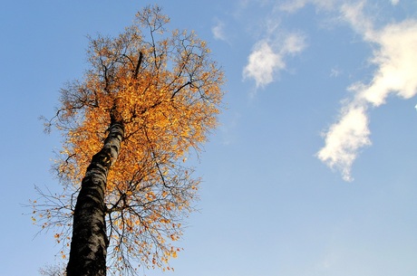 Looking up